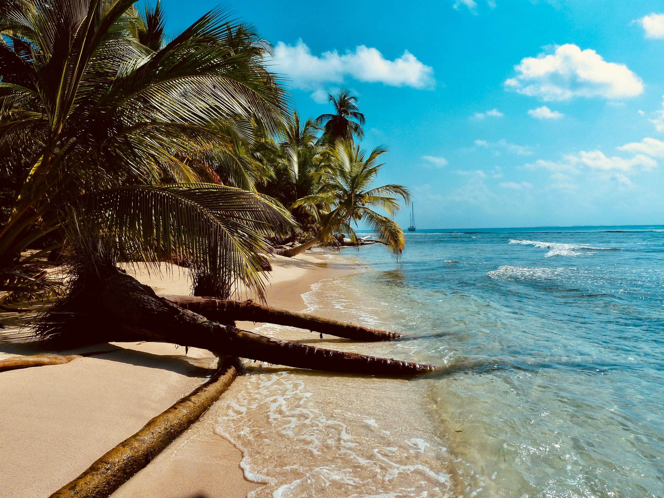 Keys To Paradise A Smart Investor’s Guide To Bahamas Real Estate